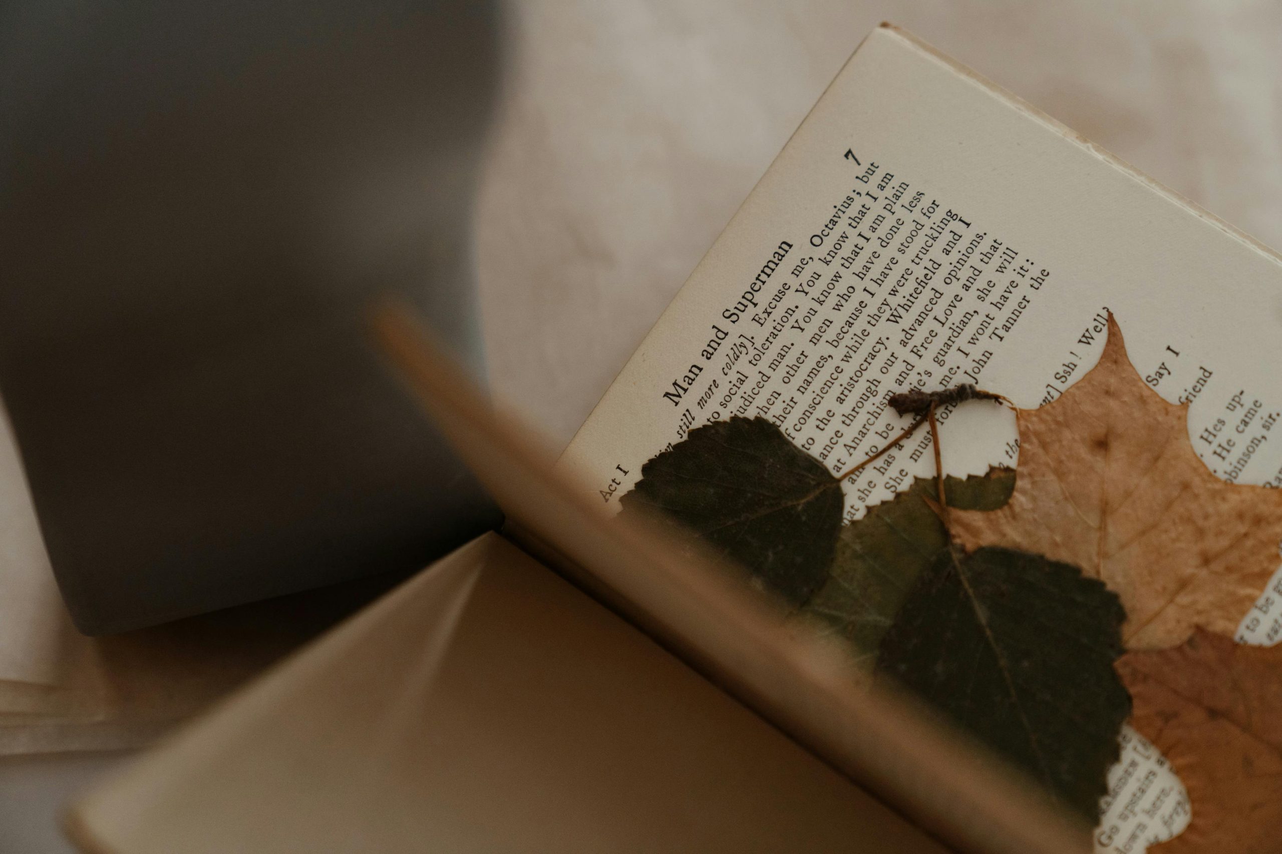 Signes d'ignorance de tes stories