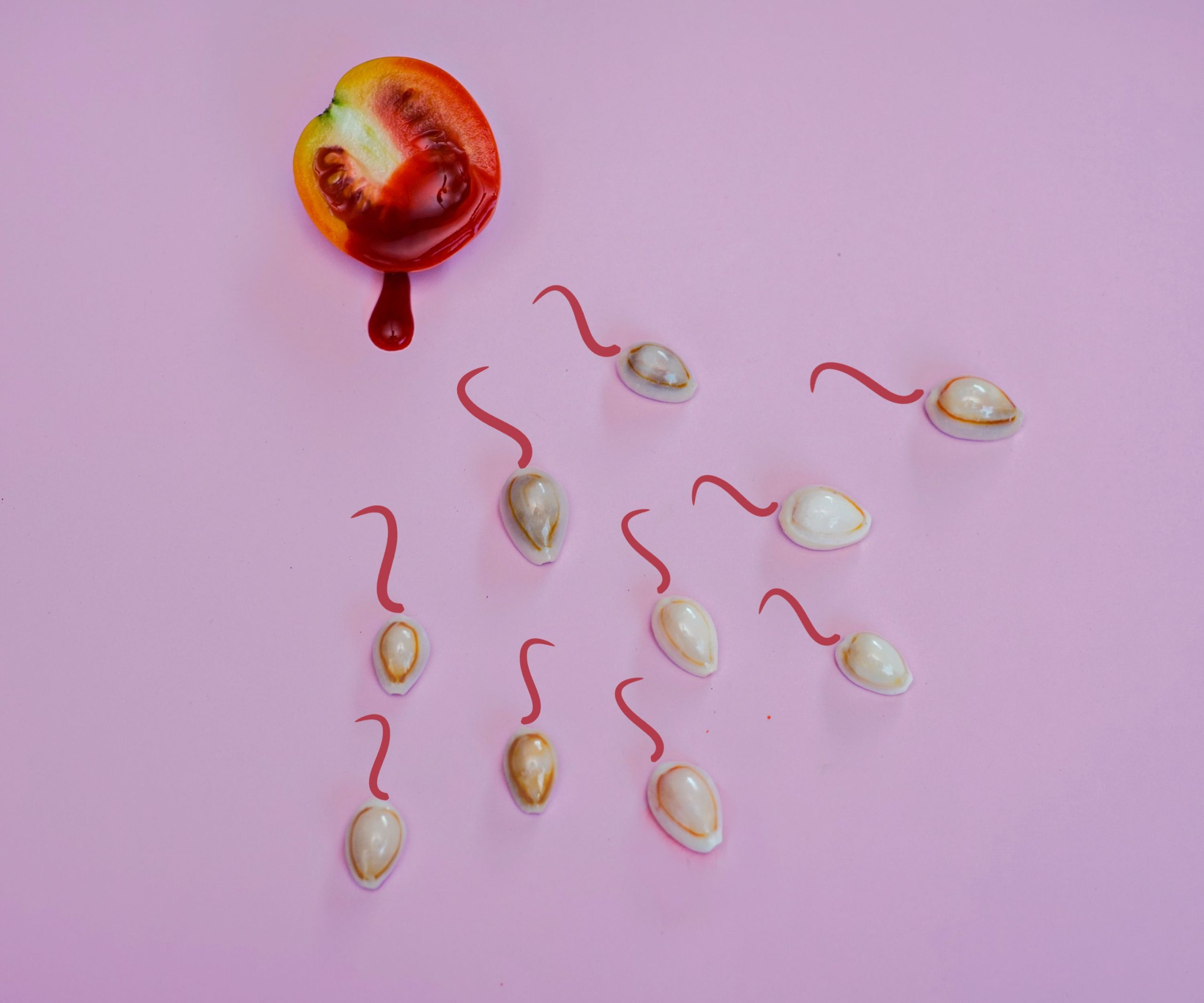 Nombre de spermatozoïdes et conception