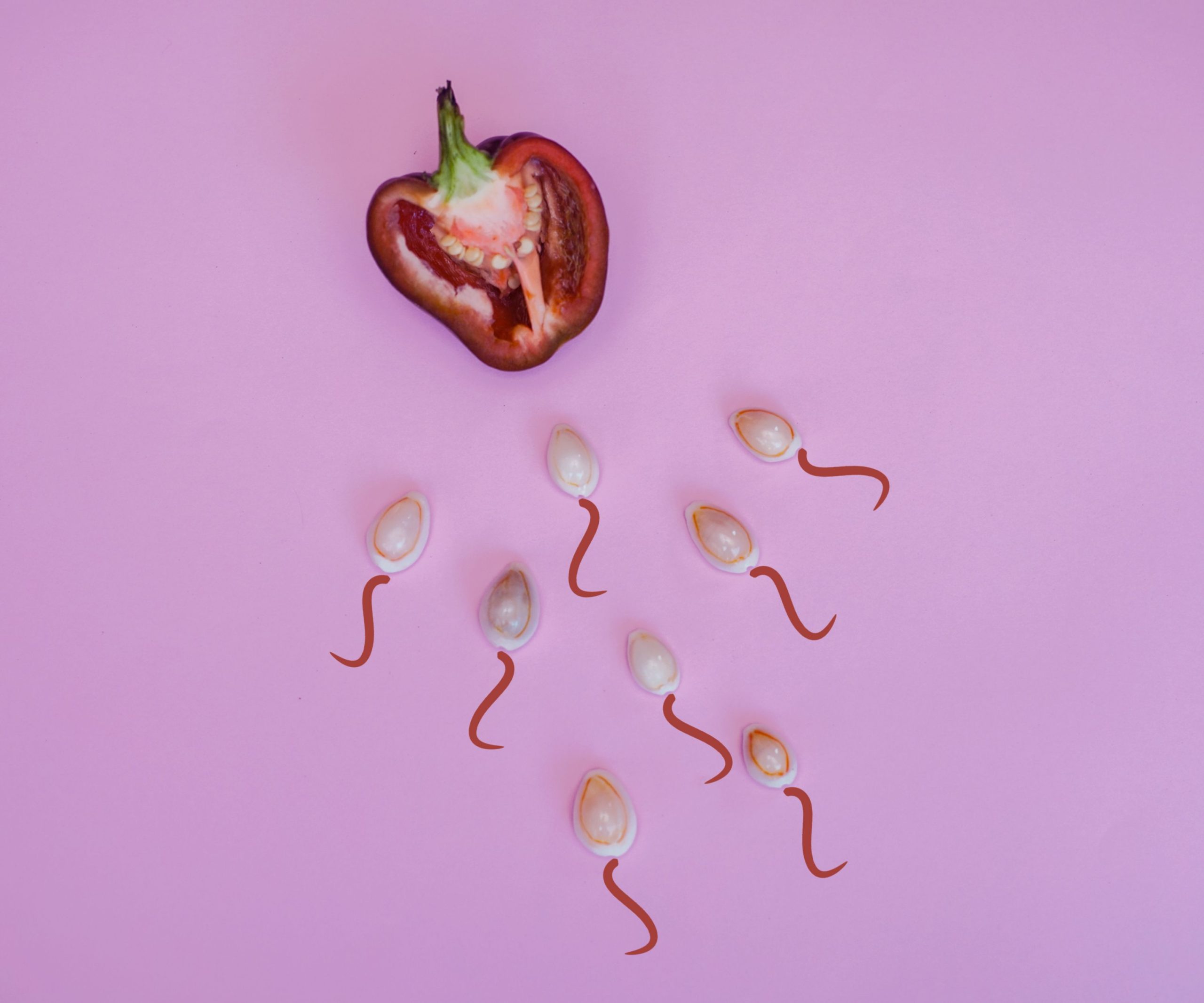Spermatozoïdes nécessaires pour la conception